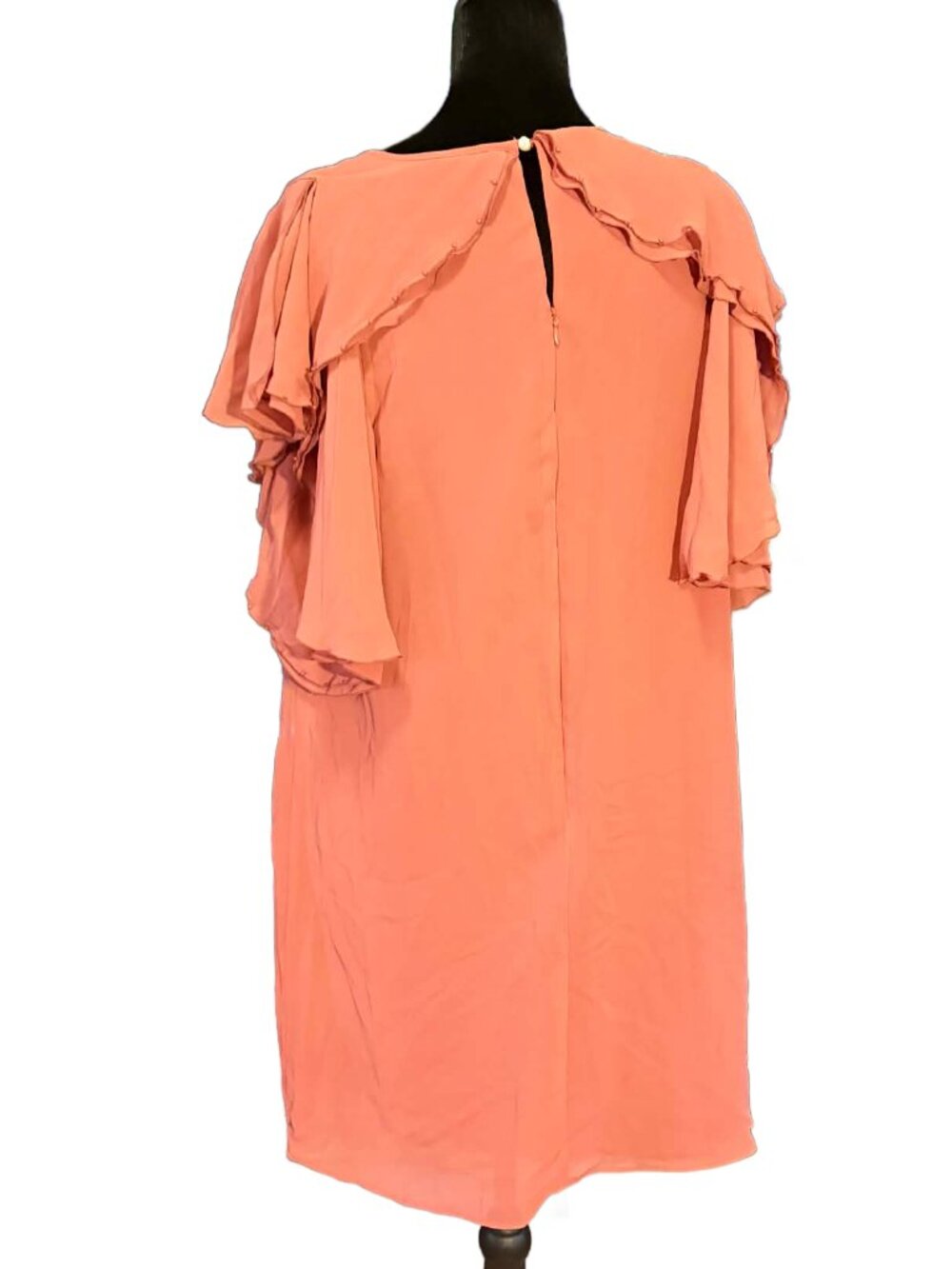 Lauren Conrad Flutter Sleeve Shift Dress - Picture 4 of 4